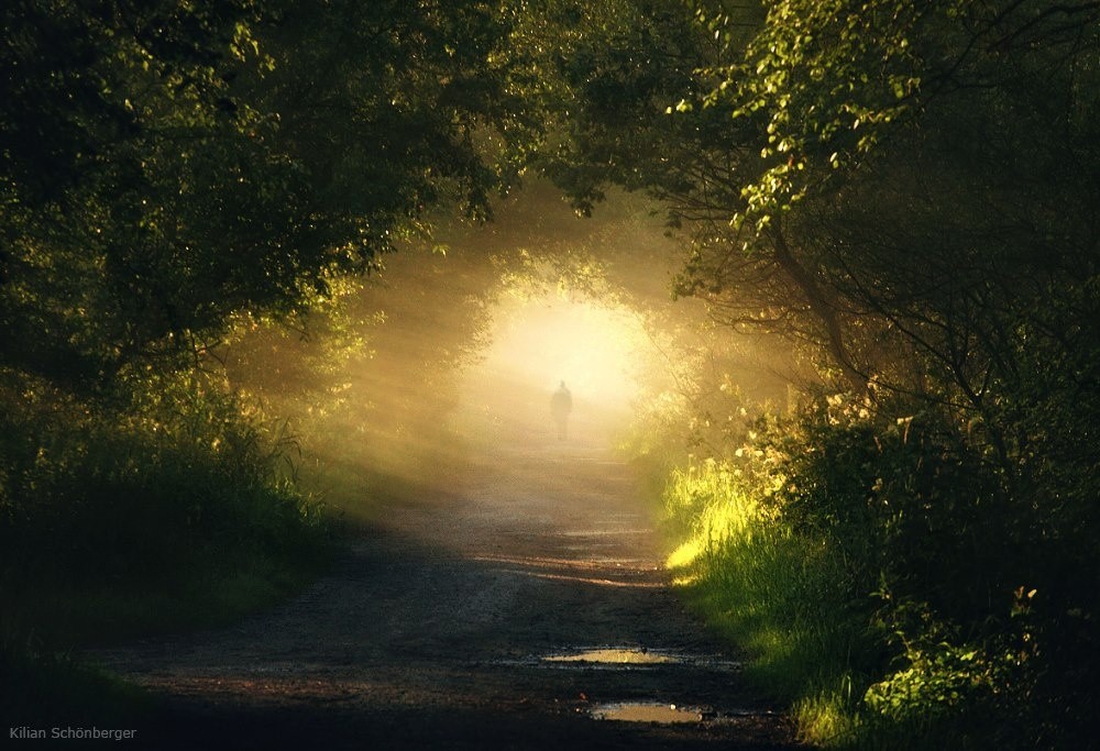 Загадочная природа. Фотограф: Kilian Schönberger. Мистические пейзажи. Загадочный пейзаж. Красивые загадочные пейзажи.